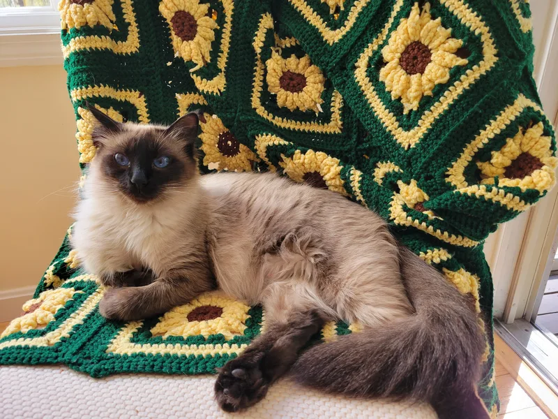 Sophie
